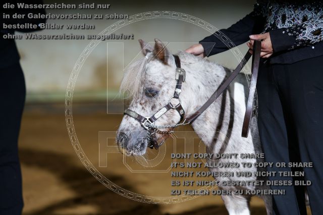 s_K3F08637.JPG